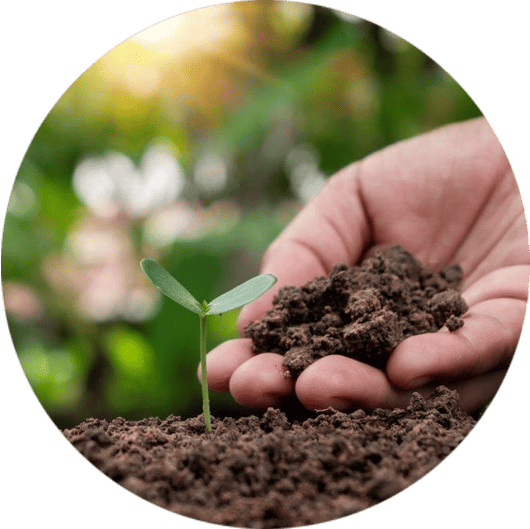 Organic & Innovative Farming