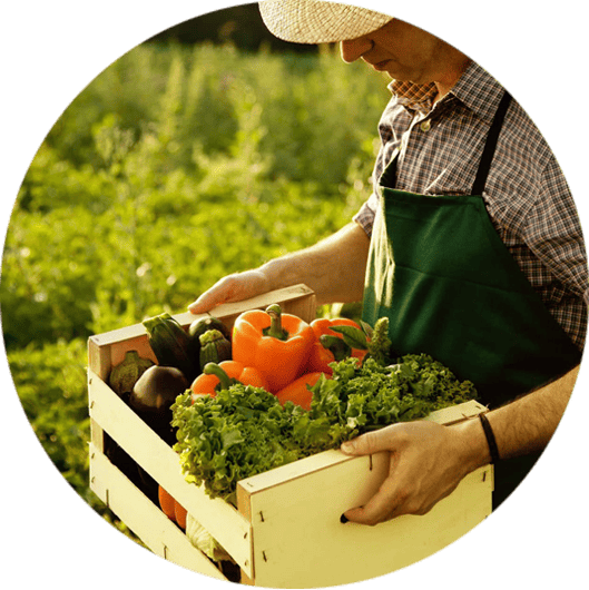Horticulture & High-Value Crops