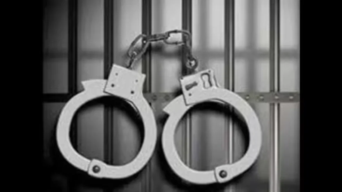 सुरक्षा में बड़ी सेंध: फर्जी राजनयिक बनकर दूतावासों में घूम रही थी महिला,गिरफ्तार, जाली नंबर प्लेट वाली कार जब्त