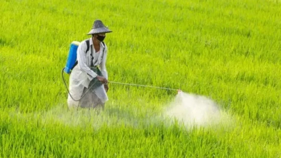 मिलावटखोरों पर नकेल: मोदी सरकार जल्द लाएगी नया बीज और कीटनाशक कानून, जेल और भारी जुर्माना भी