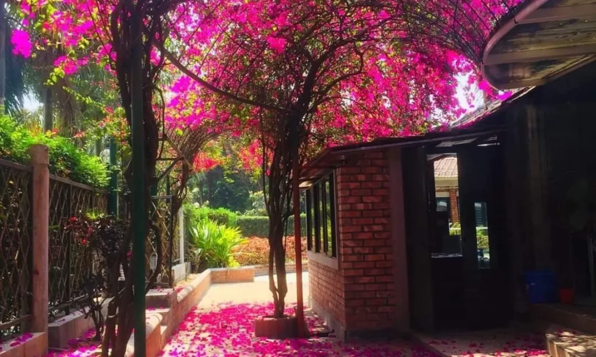 अब भी Garden City है भारत की सिलिकॉन वैली, खाना से लेकर घूमने की बेस्ट जगह तक;