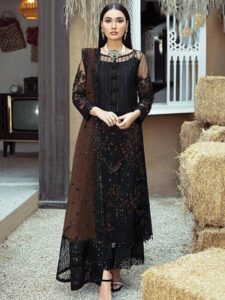 Fancy Salwar Designs