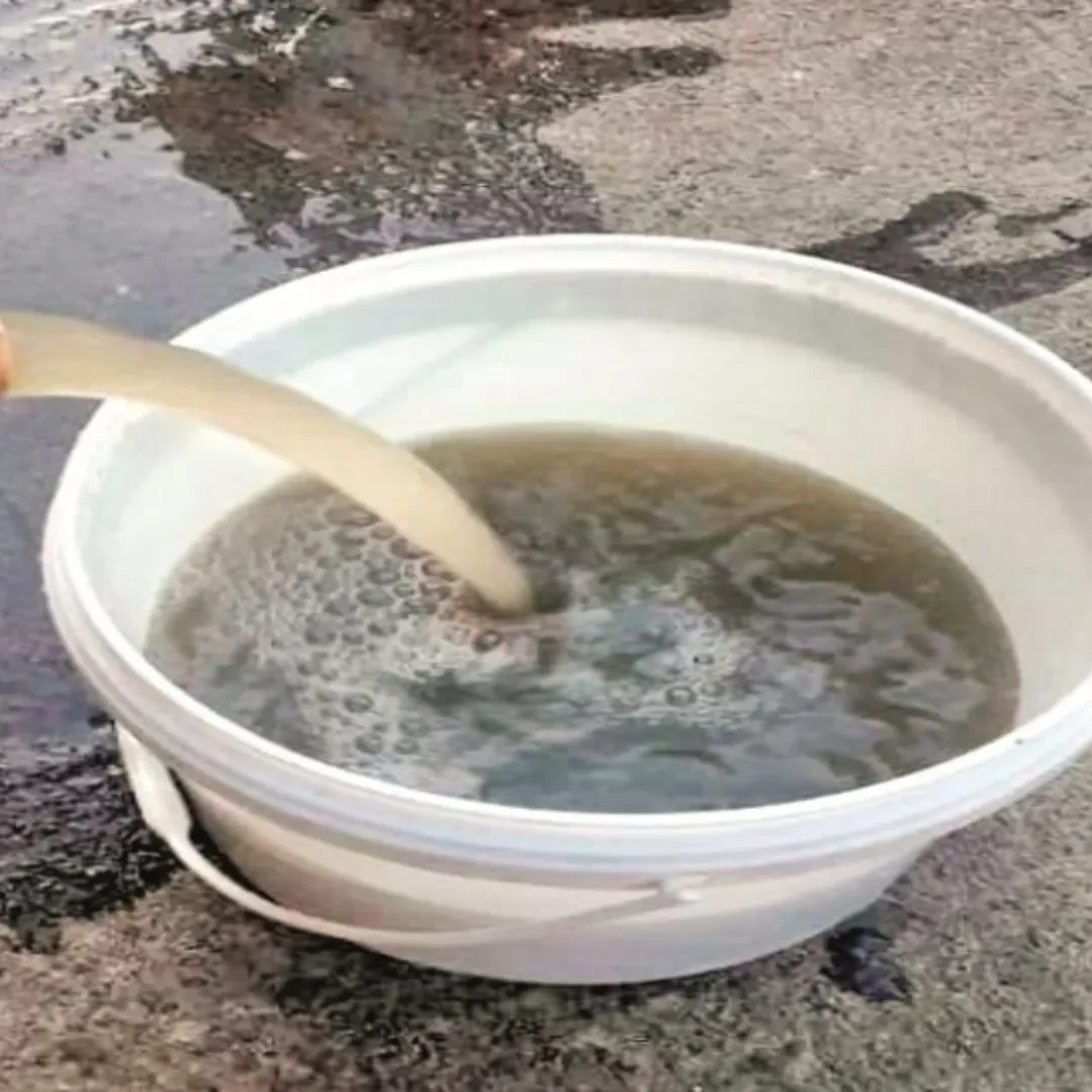 पलवल का छायंसा गांव खौफ के साये में: 10 साल की पायल समेत कई ने गंवाई जान, गंदे पानी की सप्लाई ने उजाड़ीं खुशियां