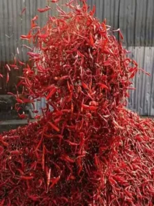 India's Chilli Capital air itself is on fire