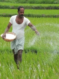 Crisis in India's Fertilizer Sector
