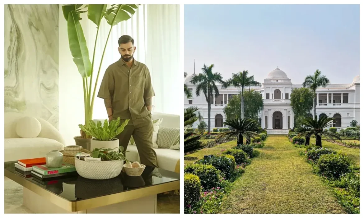 स्टार्स के Green Homes, विराट की रॉ लग्जरी से सैफ की शाही हरियाली तक, देखें जन्नत जैसे घर