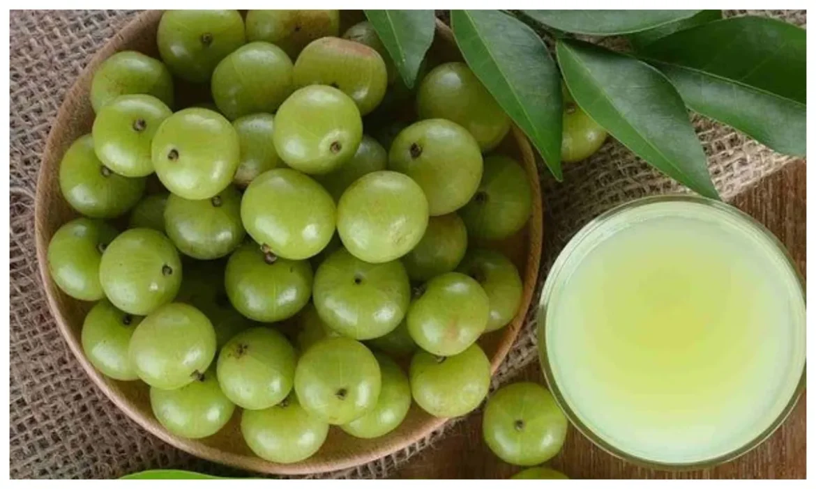 सेहत का खजाना और किसानों के लिए वरदान, जानें भारत के किस राज्य को कहते हैं Amla का महाराज