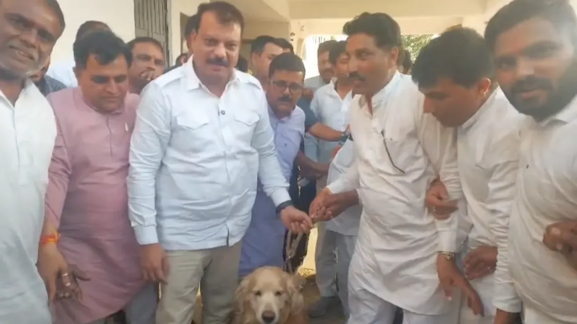 MP में गेहूं खरीद पर मचा घमासान: कलेक्टर नहीं आए तो 'कुत्ते' को थमाया ज्ञापन, सियासी गलियारों में हड़कंप