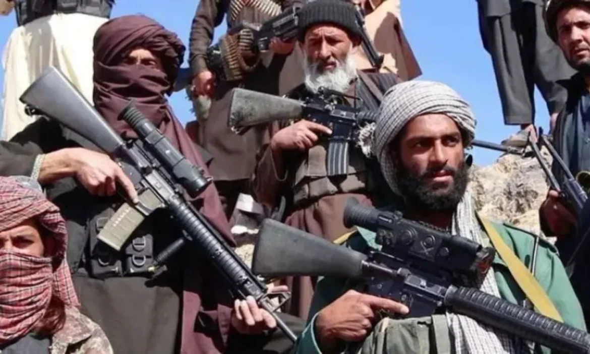 Pakistan 800 TTP terrorists killed operation Afghanistan