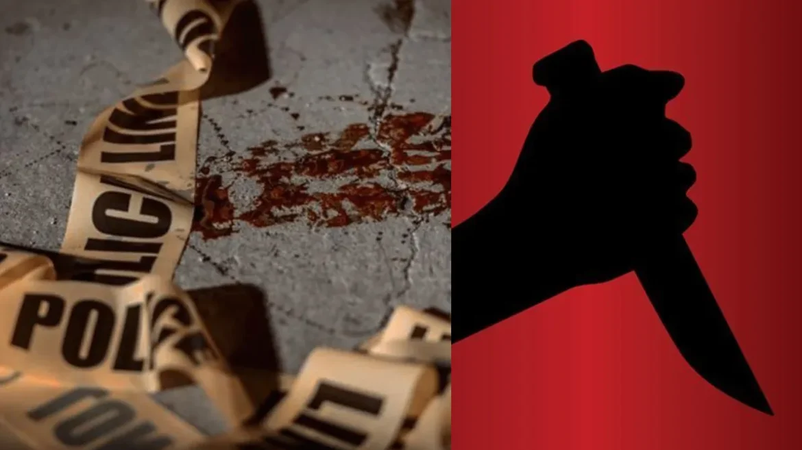 Rohini Double Murder