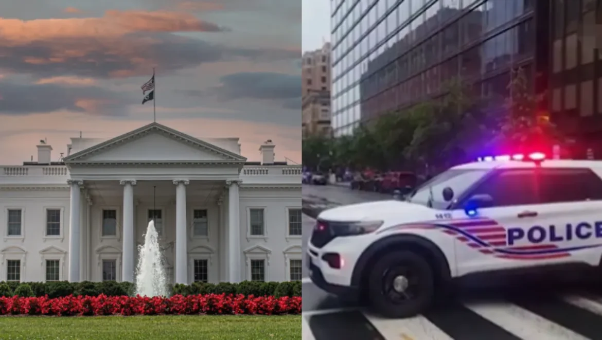 White House Firing