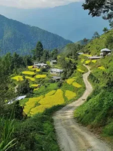 These places India no less than Europe