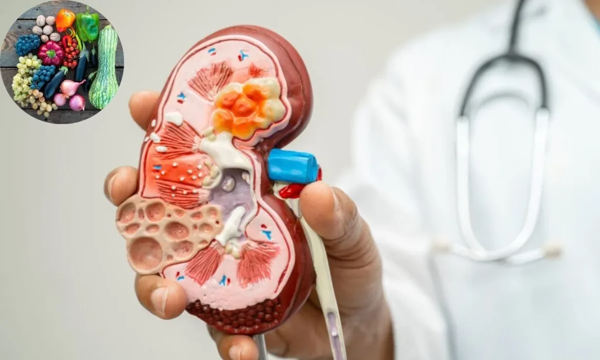 How to Boost Kidney Immunity