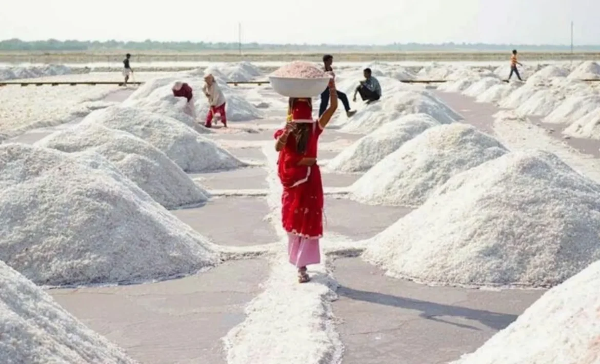 India के इस शहर में उगता है सफेद सोना, नमक से चलती है यहां की दुनिया; करोड़ों में होता है कारोबार