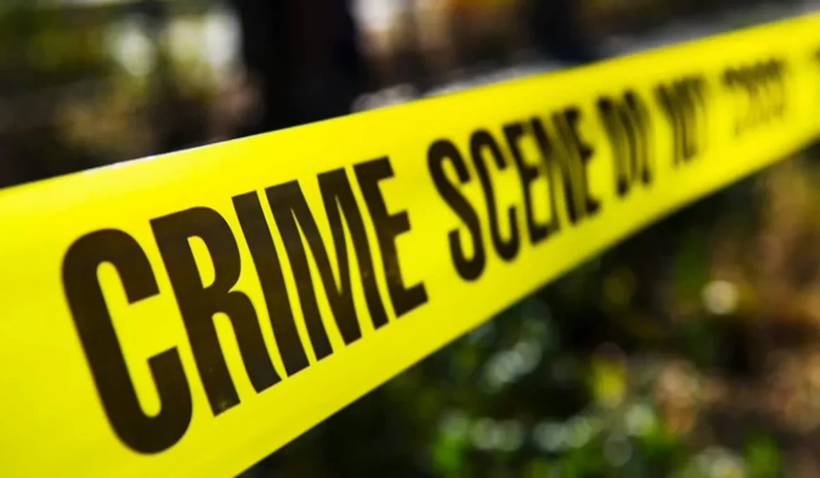 Ashok Vihar Double Murder