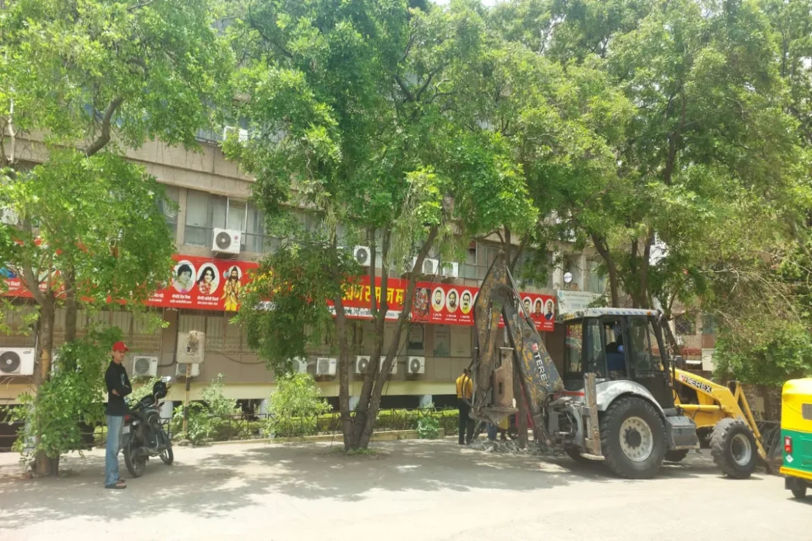 Tree Saving Initiative
