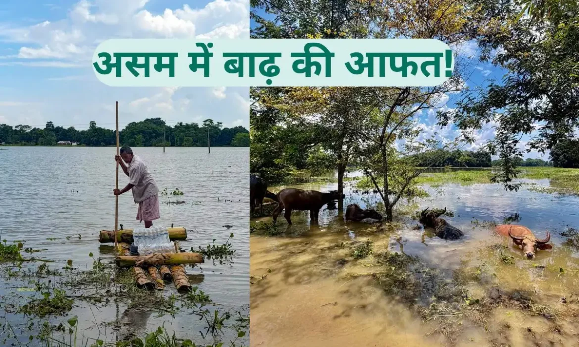 Assam Flood Update