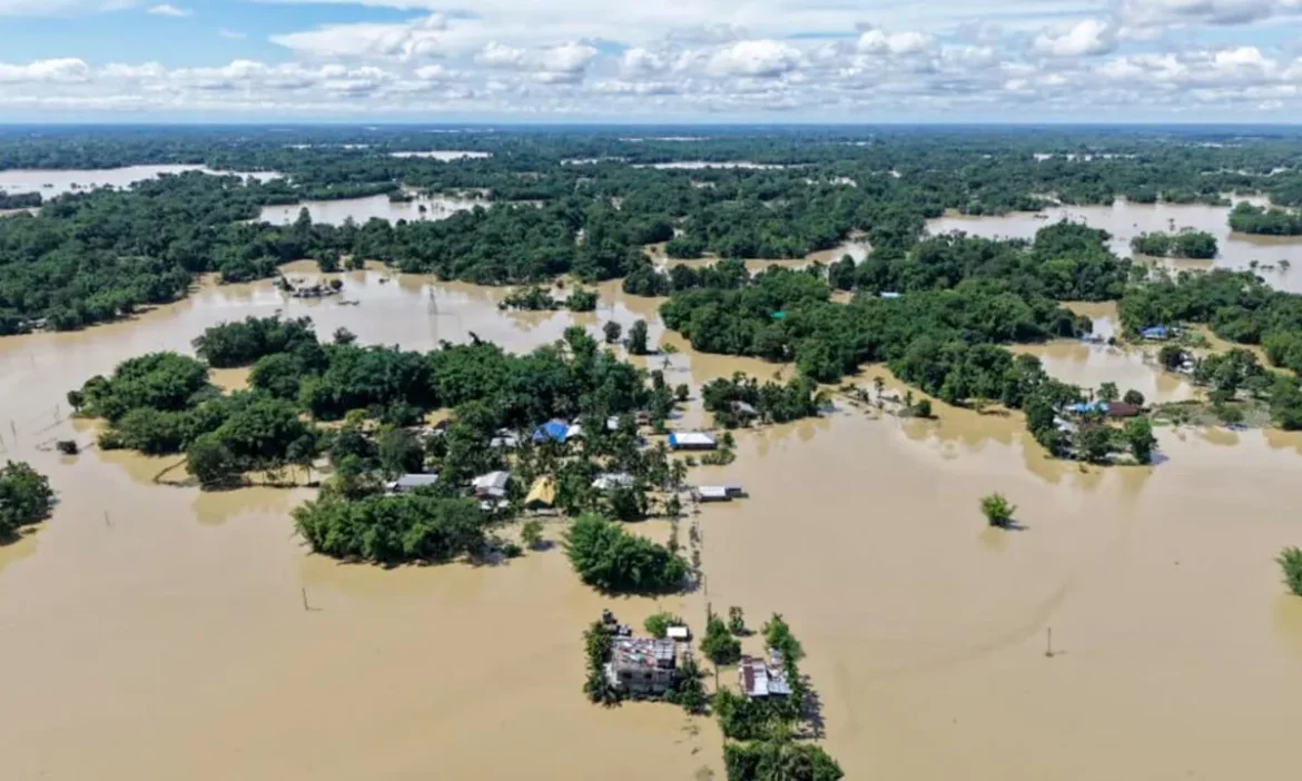 Assam flood