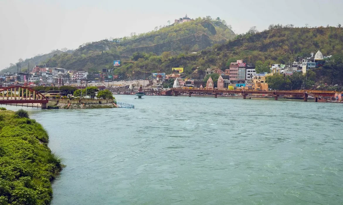 डॉल्फिन और घड़ियालों को मिलेगा नया जीवनः NMCG ने शुरू किया पांच प्रमुख आर्द्रभूमियों के संरक्षण का काम