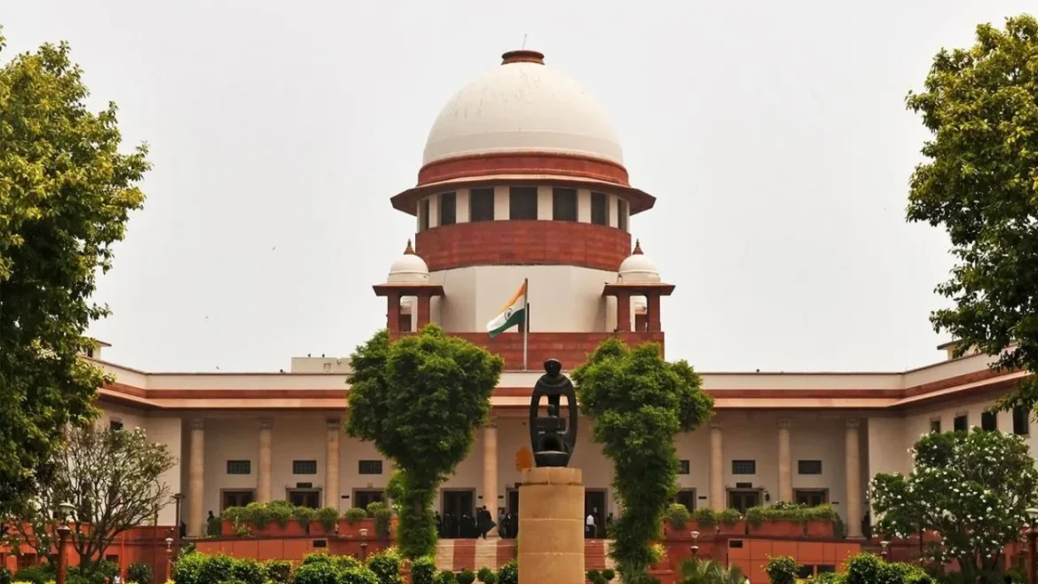 Pellet Gun Case in Supreme Court
