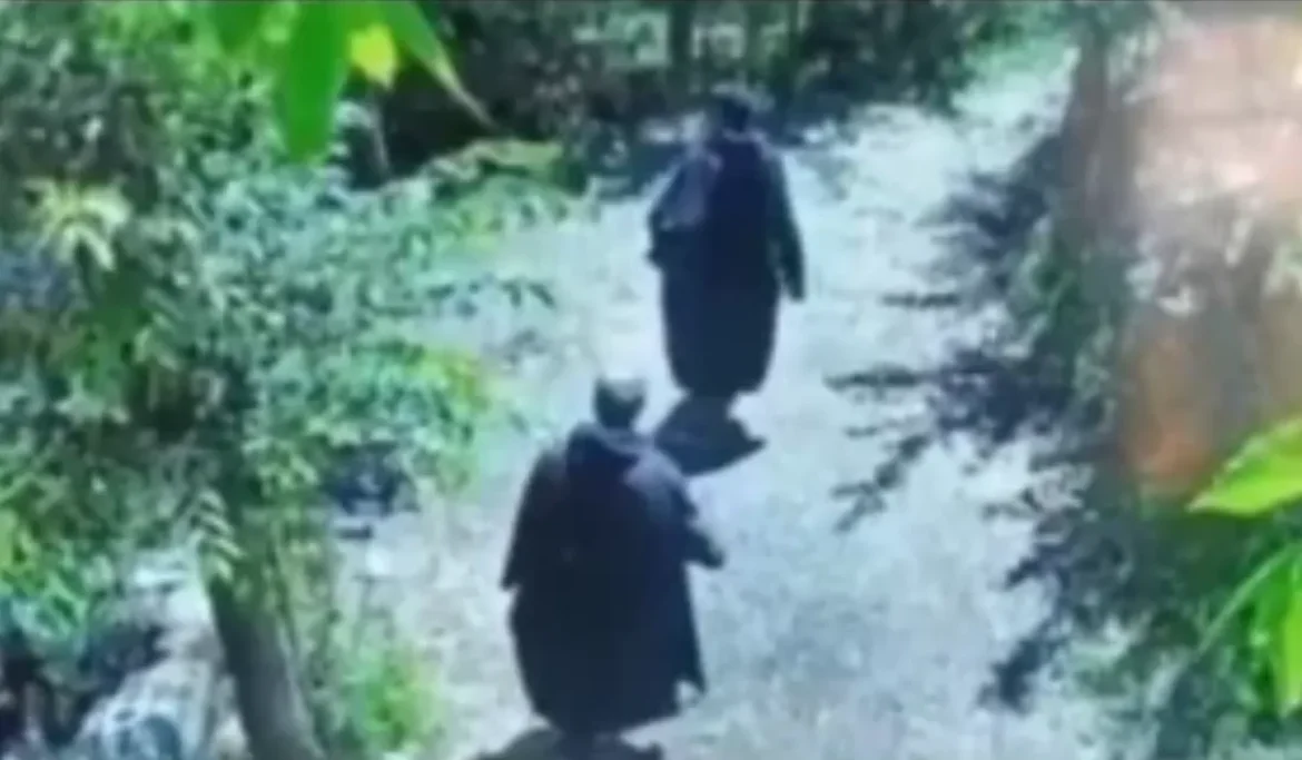 Shopian Counter-Terror Operation
