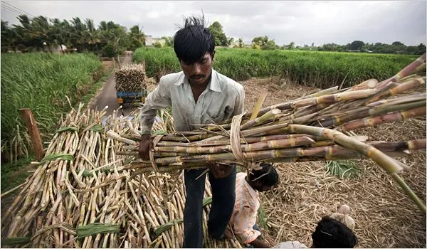 Sugar Price Hike