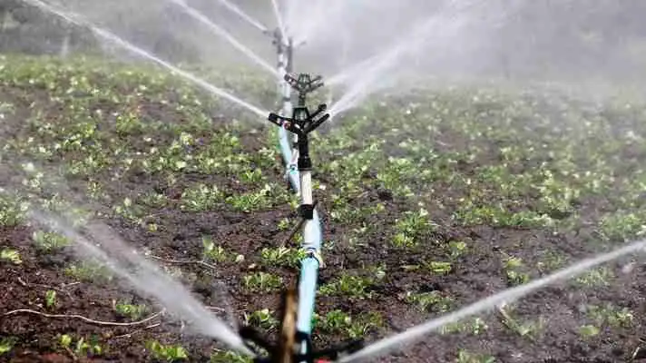 MP Major decisions farmers youth and sportsperson