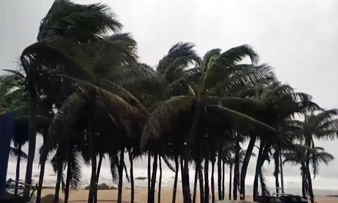 Arnab Cyclone